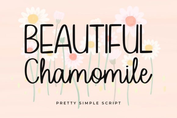 Beautiful Chamomile: A Charming Script Font for Modern Design