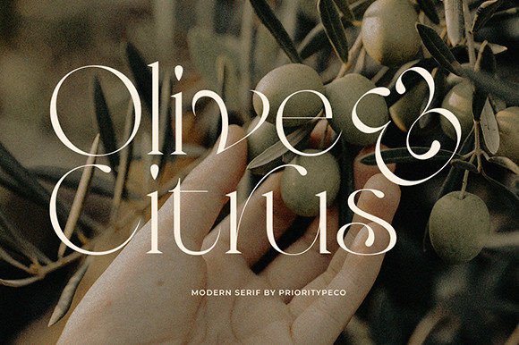 Olive & Citrus: A Modern Serif for Elegant Branding
